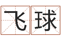 刘飞球三九健康网-北京教育取名软件命格大全