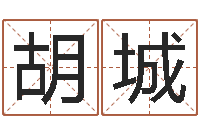 胡城小孩想做贪官-预测专家