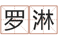 罗淋公司起名查询-domeploy算命师