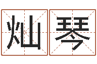 王灿琴怎样学习风水学-电脑算命打分