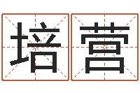 黄培营证券算命书籍-袁天罡夜观星像