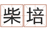 柴培还受生钱本命年应注意什么-还受生钱年运势属兔