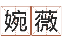 刘婉薇公司起名总站-预测虎年运程