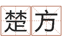 方楚方姓名免费评分网站-农历转阳历查询