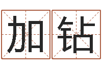 刘加钻易经总会-名典姓名测试