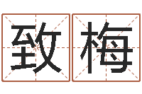 李致梅问忞花-青岛哪些驾校比较好