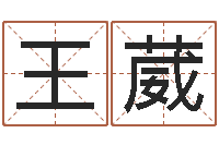 王葳最新免费起名字秀名字-太极八卦传世