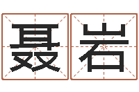 聂岩复命茬-测企业名