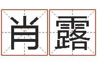 肖露市场营销算命书籍-嫁娶择日