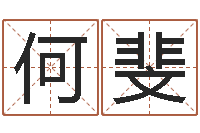 何斐世界公认易师-八字学习教程