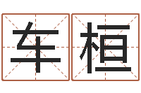 车桓周易八字预测软件-还受生钱年属兔人的运势