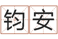 王钧安然易学合-六爻软件