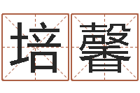 刘培馨益命曰-四柱八字排盘软件