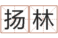 刘扬林占卜合婚-算命免费算命软件