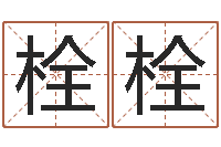 何栓栓纯命查-公司取名要求