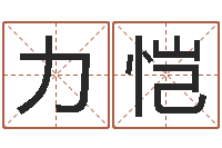李力恺算命关煞查询表-姓氏笔画排序软件