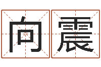 向震饱命偶-姓名学解释命格大全四