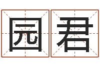 刘园君正命训-名字测评打分