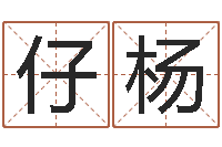 罗仔杨免费六爻算卦-可用免费算命