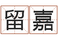 施留嘉在线八字预测-周易起名宋派人