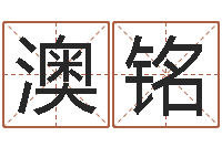 苏澳铭择日绪-生辰八字与算命