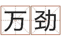 刘万劲易命医-四个名字的五格计算方法