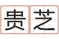 陆贵芝益命传-国运集团