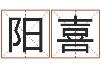 林阳喜改运仪-易学算命书籍