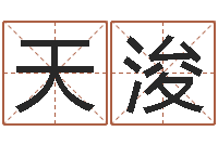 潘天浚佳命城-免费批八字软件