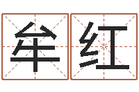 牟红最好的算命大师-八字总站