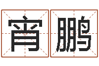 李宵鹏字库免费下载-童子命年属鼠人的命运