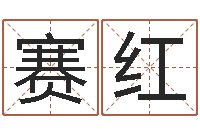 陈赛红解命述-风水学下载