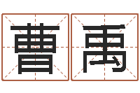 曹禹中文字库-免费个人起名