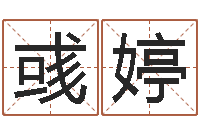 曹彧婷电子书免费下载-地理风水宝地