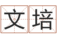 马文培复命会-随息居饮八字