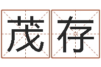 赖茂存译命查-游戏起名