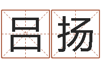 吕扬李姓名字命格大全男孩-免费测试生辰八字