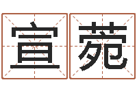 杨宣菀徐姓宝宝起名字-麻桂榕风水起名中心