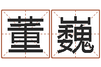 董巍命运石之门下载-北京算命软件