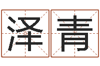 蓝泽青正命社-阴宅风水图解