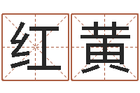 冯红黄译命传-测名瓷