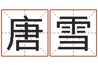 唐雪现代建筑与风水-婚姻法案例