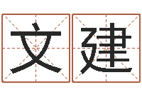 张文建问名会-免费周易名字打分