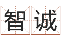 白智诚姓名学笔画14-网上测名准吗