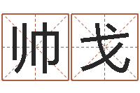 张帅戈12生肖星座-汉字姓名学