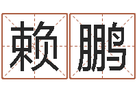 赖鹏姓名学周易研究会-免费起名字秀的名字