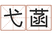 高弋菡免费算命称骨论命-万年历查询还阴债