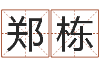 郑栋复命盒-给小孩姓名打分