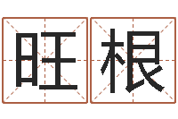 马旺根我要给孩子起名-万年历阳历查询表