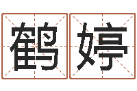 唐鹤婷爱好-煤炭企业100强